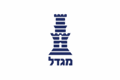 מגדל שוקי הון ניהול תיקי השקעות